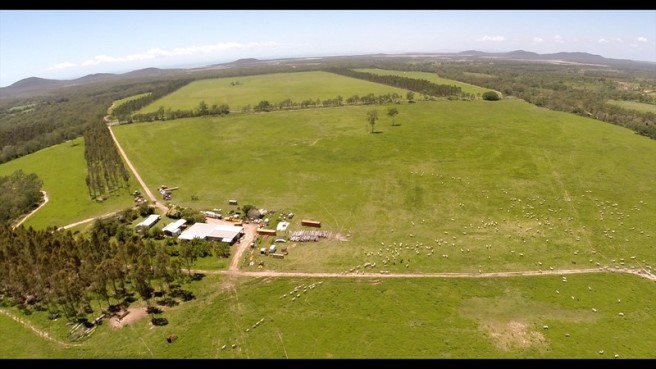 Properties For Sale - Grain Central