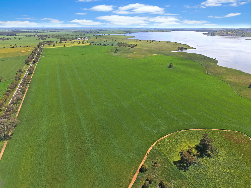 Properties For Sale Grain Central